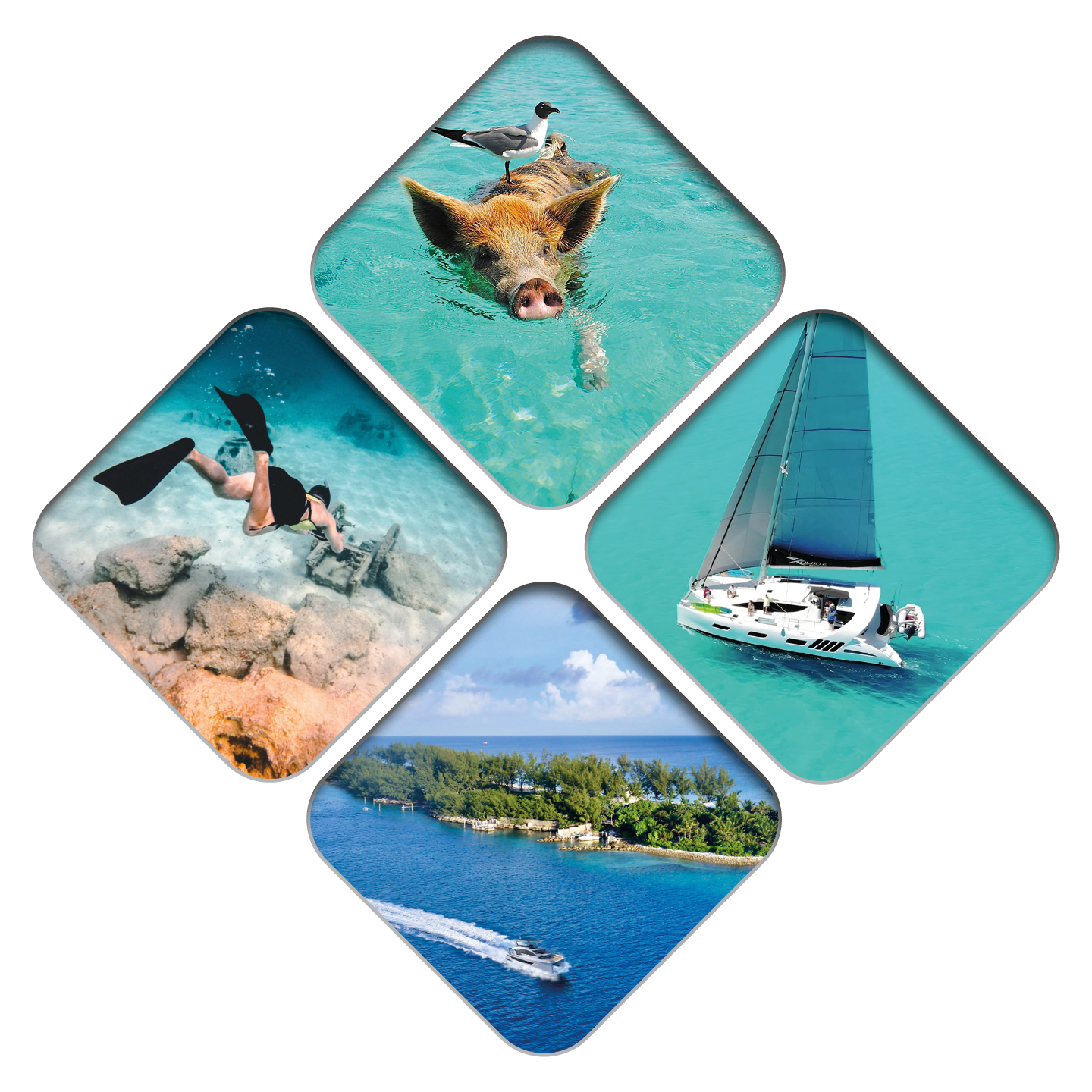 Xquisite Charters