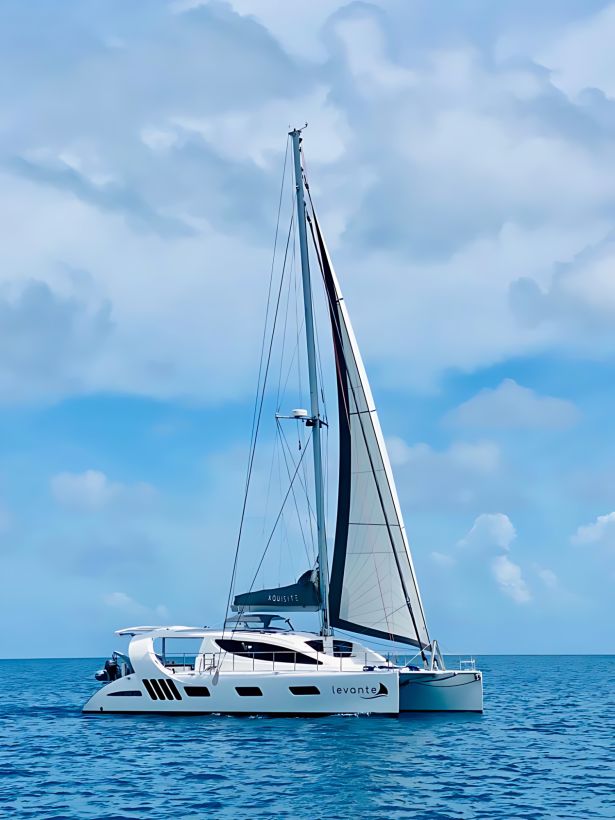 2022 X5 Plus Levante